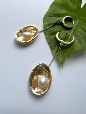 Abalone Shell Earrings
